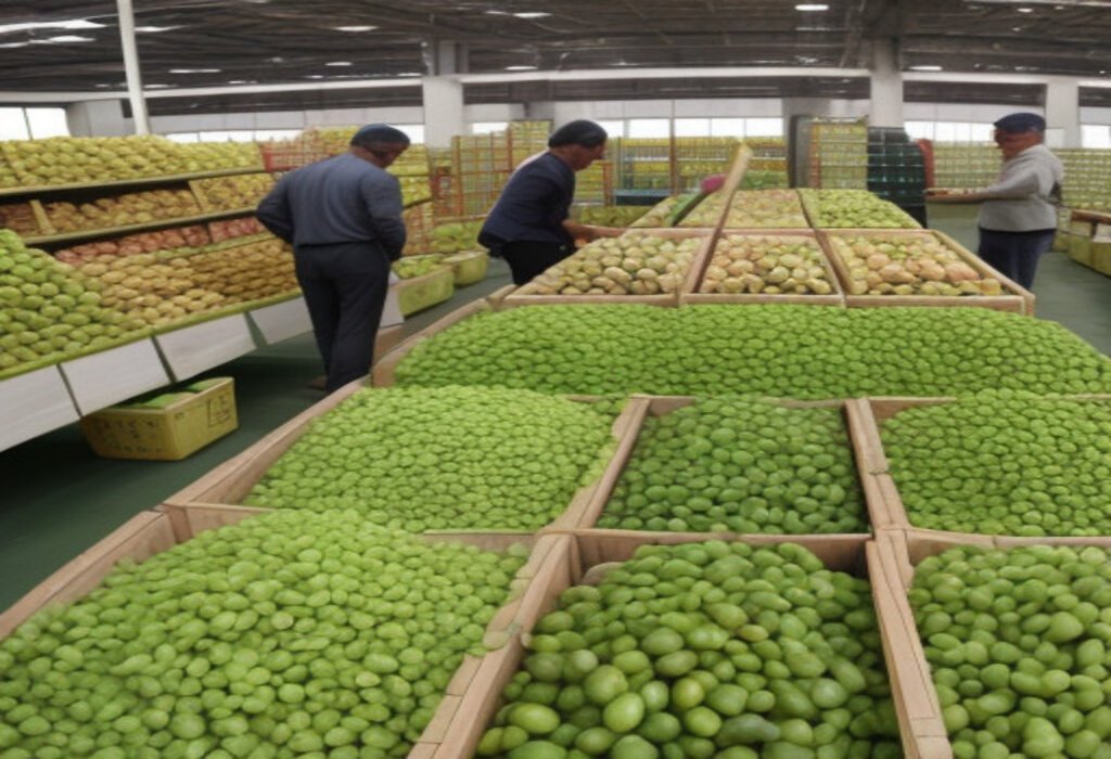 Agro Commodities gallery image 2